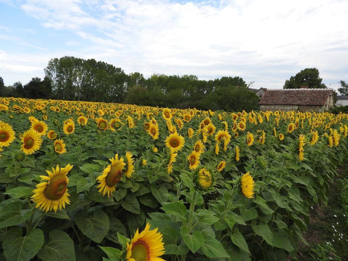 Crouzilles Le Moulin De Saussaye B&B 외부 사진